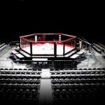 Periodo nero per le MMA italiane, ma non bisogna abbandonare la nave 7