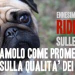 Il fatto quotidiano e le MMA 2