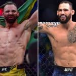 Ponzinibbio