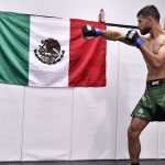 UFC on ABC 3