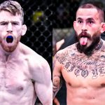 UFC Fight night 210