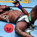 Aljamain Sterling