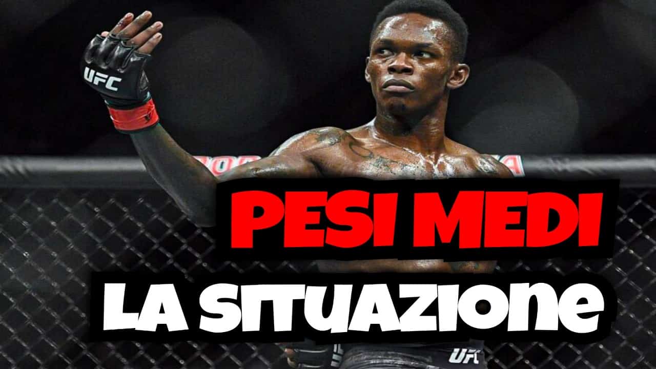 UFC 281 e i pesi medi - facciamo il punto 1