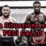PESI GALLO
