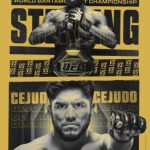 UFC 288
