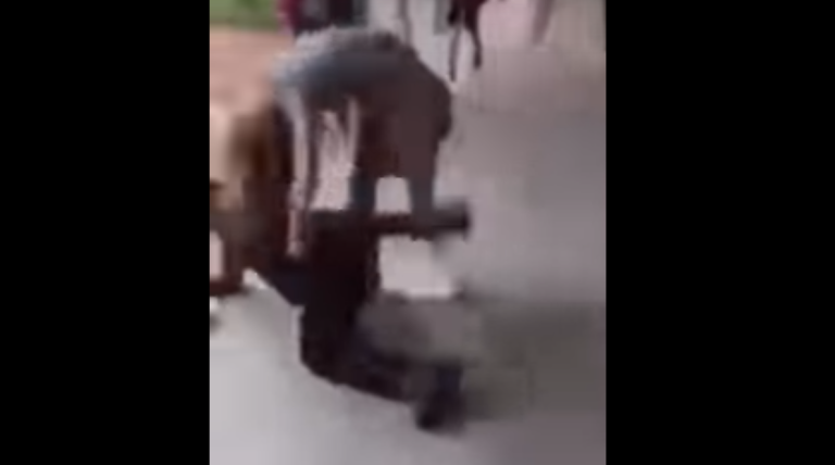 Bullo maltratta ragazza online, poi la prende per i capelli. La ragazza però pratica Bjj da 6 anni... 6