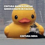 BJJ ginocchiata in the face 27