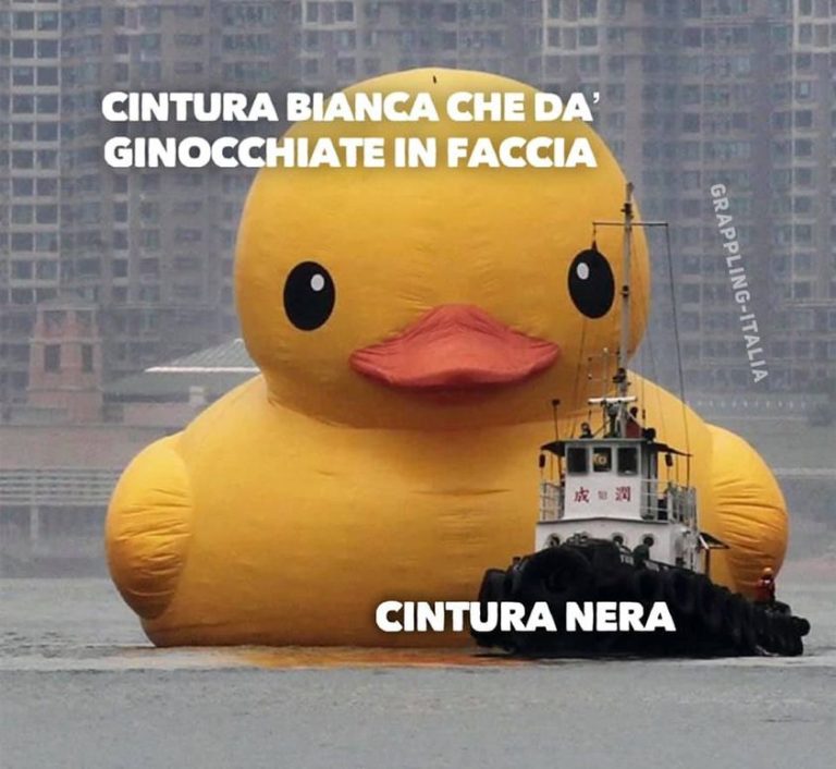 BJJ ginocchiata in the face 10