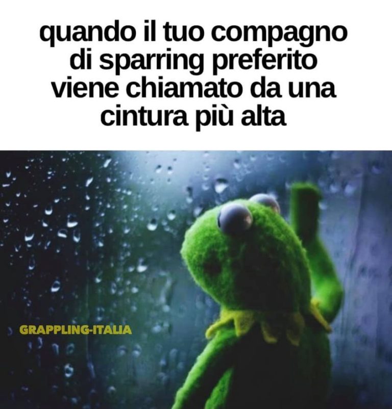 Quando il tuo compagno di sparring 4