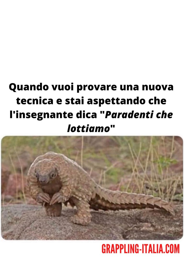 Quando hai imparato una nuova tecnica 1