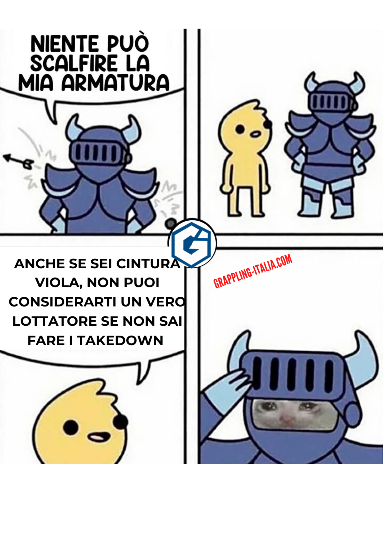 Armatura che non si può scalfire 13
