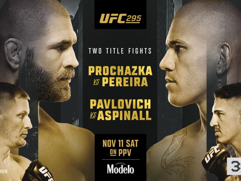 UFC 295: Procházka vs. Pereira 13