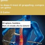 I gatti guariscono le persone... 14