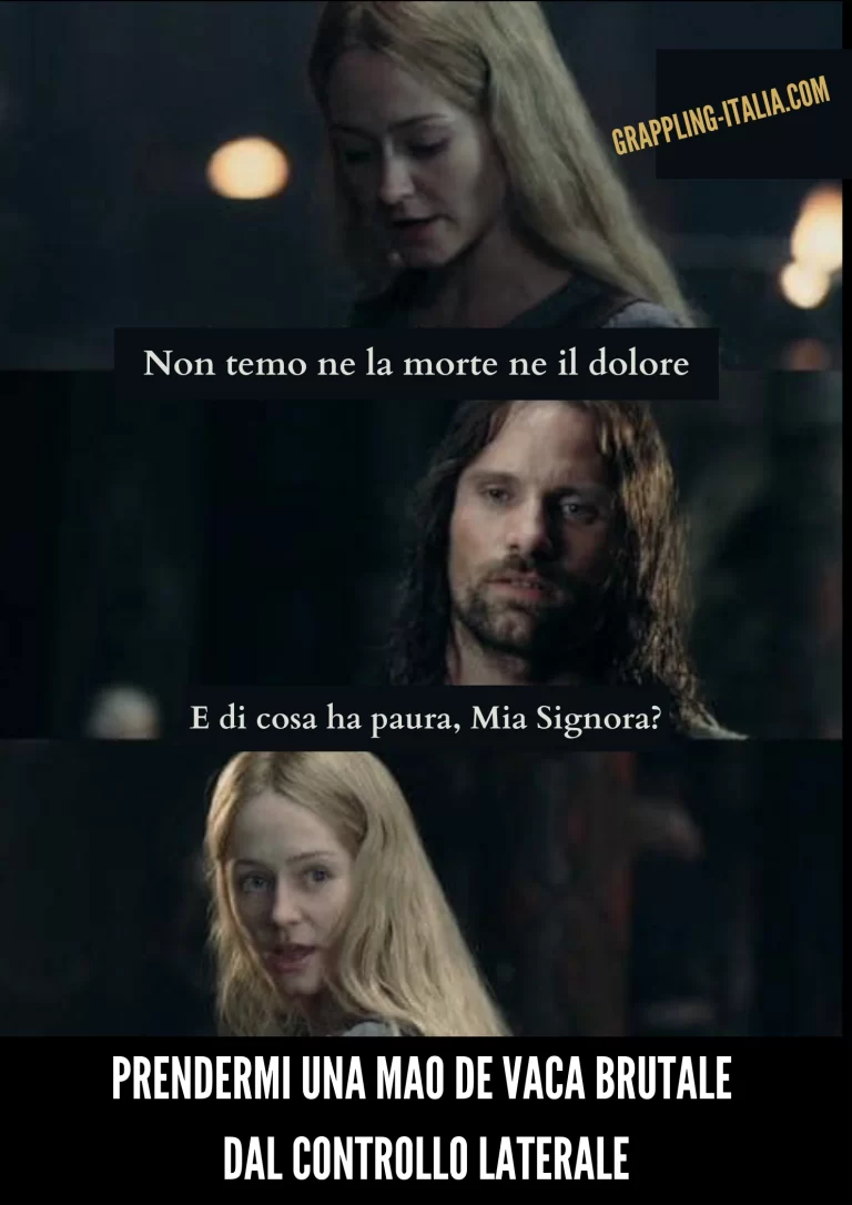 Lo sanno anche gli Elfi (Bjj Meme) 12