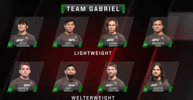 Abbiamo visto UFC BJJ: Road to the Title Ecco cosa ne pensiamo. 3