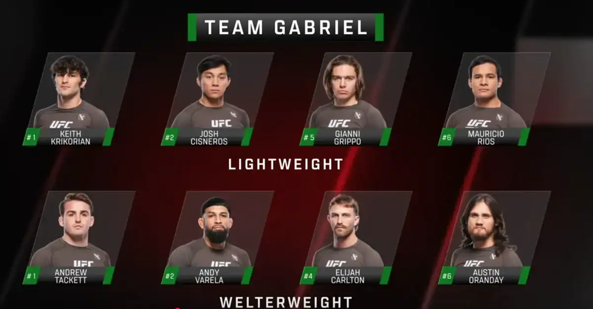 Abbiamo visto UFC BJJ: Road to the Title Ecco cosa ne pensiamo. 1