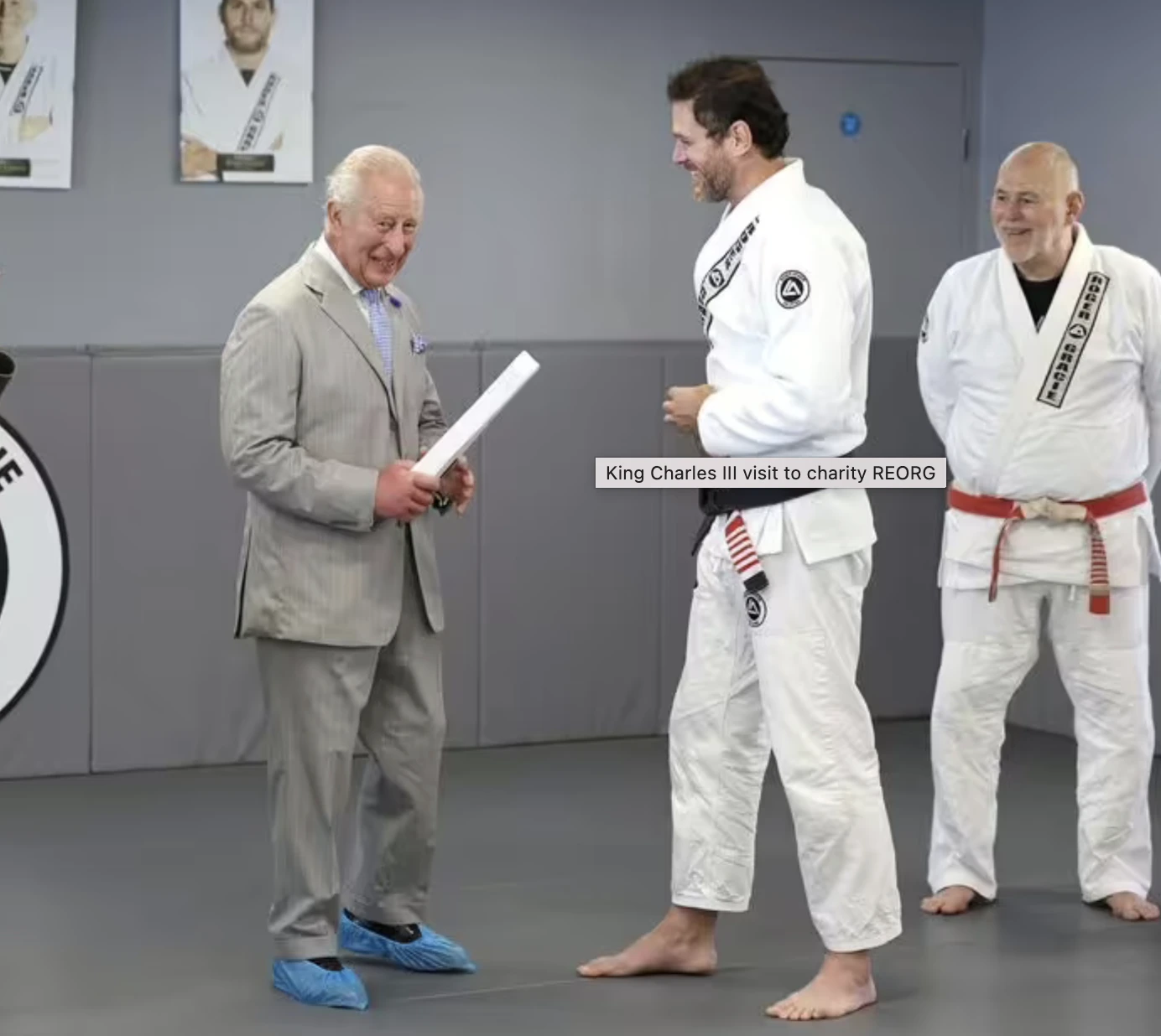 Bjj & Grappling 3