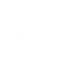 Brazilian-Jiu-jitsu-150x150