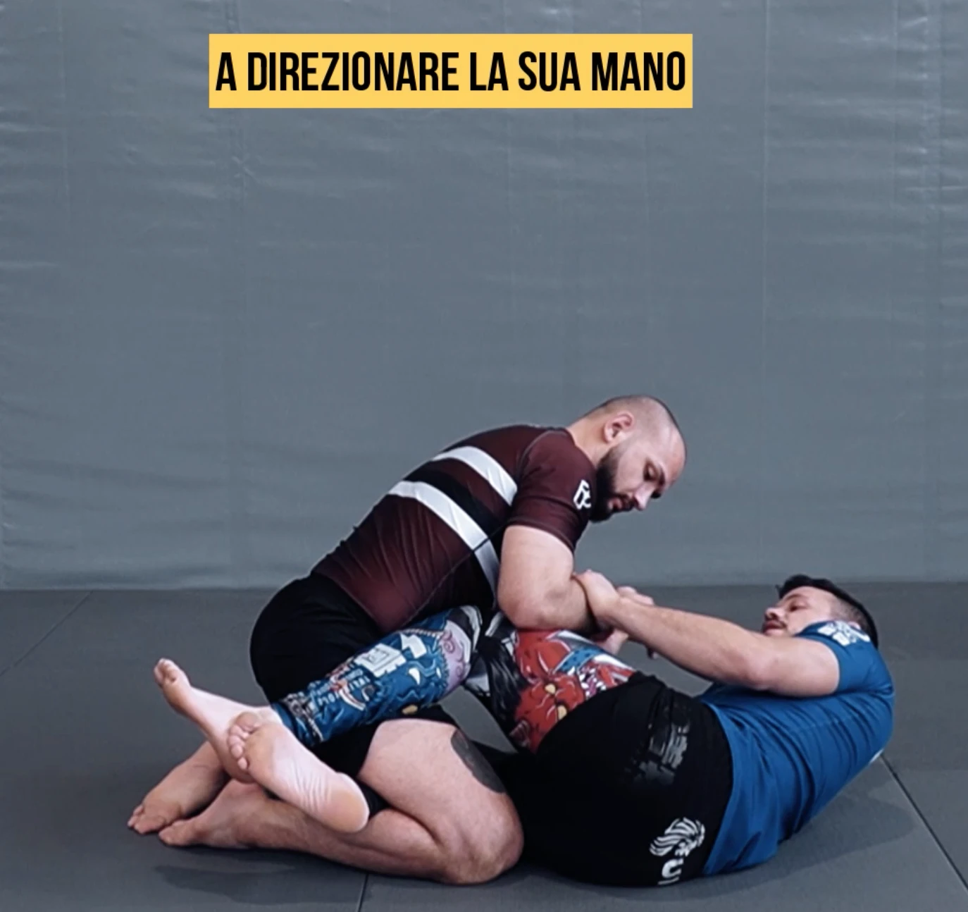 Manuel Pilato - Half Guard Instructional
