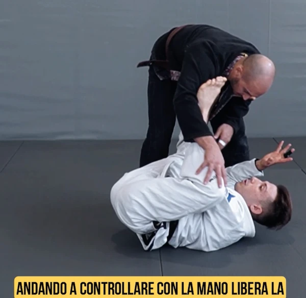 Stefano Bui: The lapel System - Lasso & Lapel