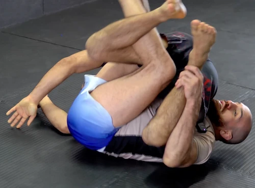 Francesco Bartolotta - Octopus Guard Essentials