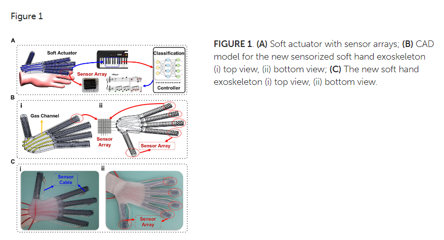 Figure 1. (A) – A soft actuator with sensor arrays, (B) – CAD model for the new sensorized soft hand exoskeleton (i) top view, (ii) bottom view, (C) – the new soft hand exoskeleton (i) top view, (ii) bottom view. Source: https://www.frontiersin.org/