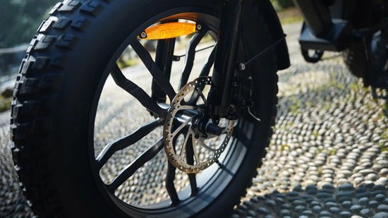 Ape Ryder Ape Ryder Colobus Fatbike - Elektrische fiets 20 inch - All Terrain E-bike voor Heren/Dames -
