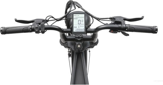 Ape Ryder Ape Ryder A10 display - fatbike scherm - LCD - plug & play - IP65