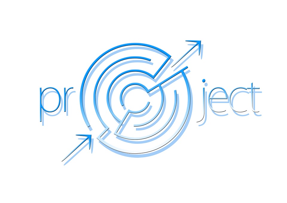 DICE – model powodzenia projektu