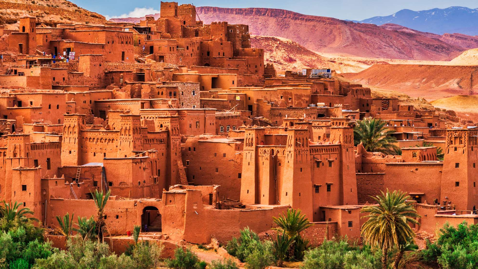16-35 yosh oraligʻidagi yetakchi yoshlar uchun Marokashda xarajatlari toʻliq qoplanadigan konferensiya — Youth Congress Morocco 2025