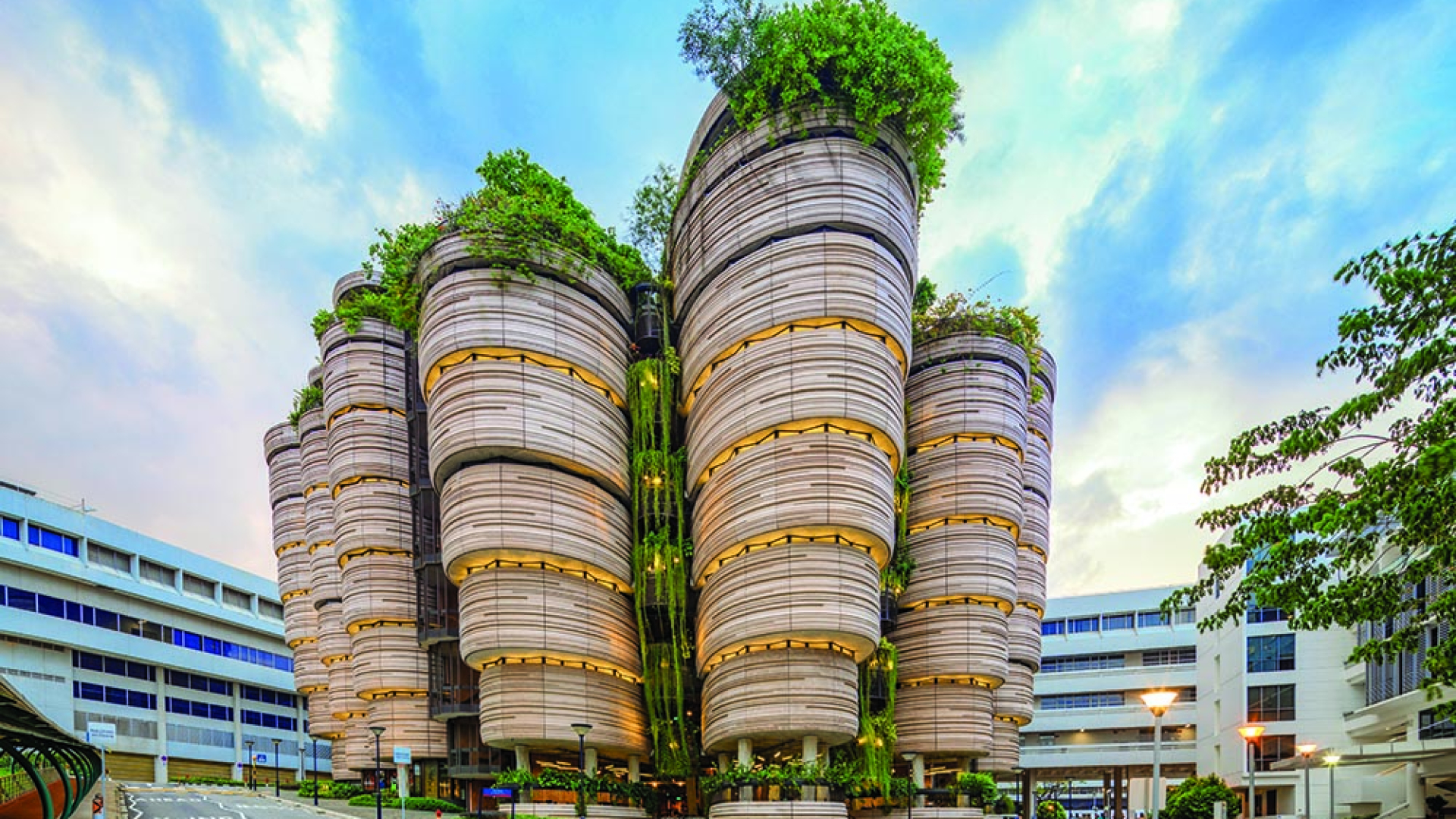 Bakalavr va magistratura talabalari uchun Singapurda toʻliq moliyalashtiriladigan NTU Singapore Fellowship dasturi