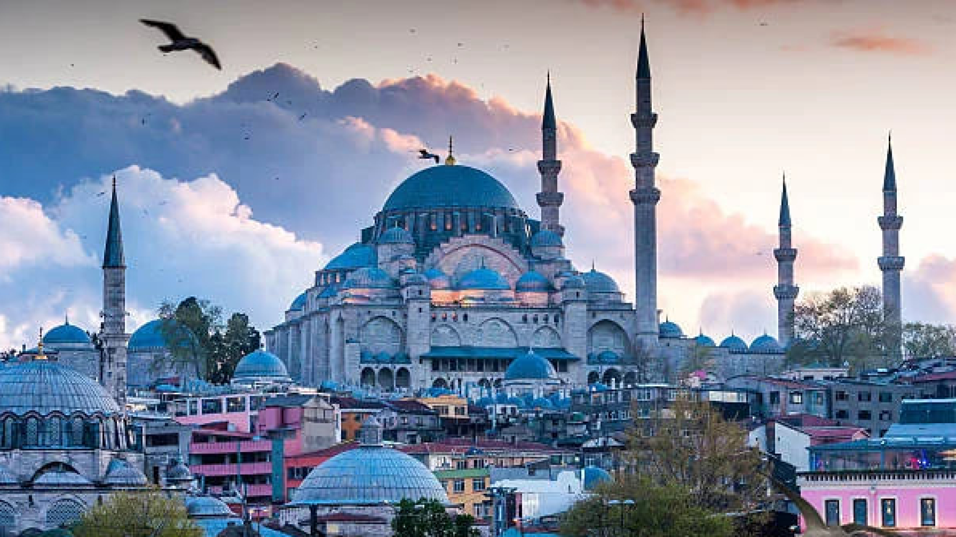 Turkiyada xarajatlari qoplanadigan 4 kunlik xalqaro yoshlar forumi — YFGG 2026