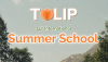 Fransiyada xarajatlari qoplanadigan 1 haftalik yozgi maktab — TULIP Summer School 2026