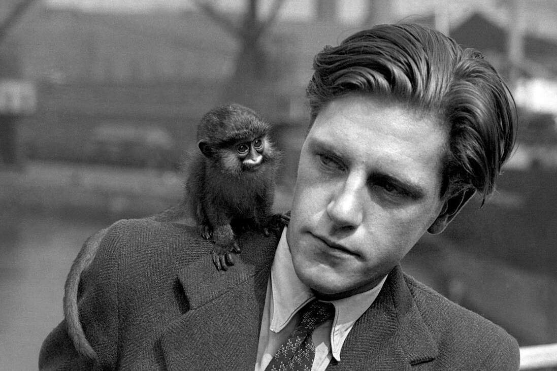 Писатель джеральд даррелл. Даррелл животные. Даррелл животные. Джеральд малкольм даррелл. Писатель джеральд даррелл.