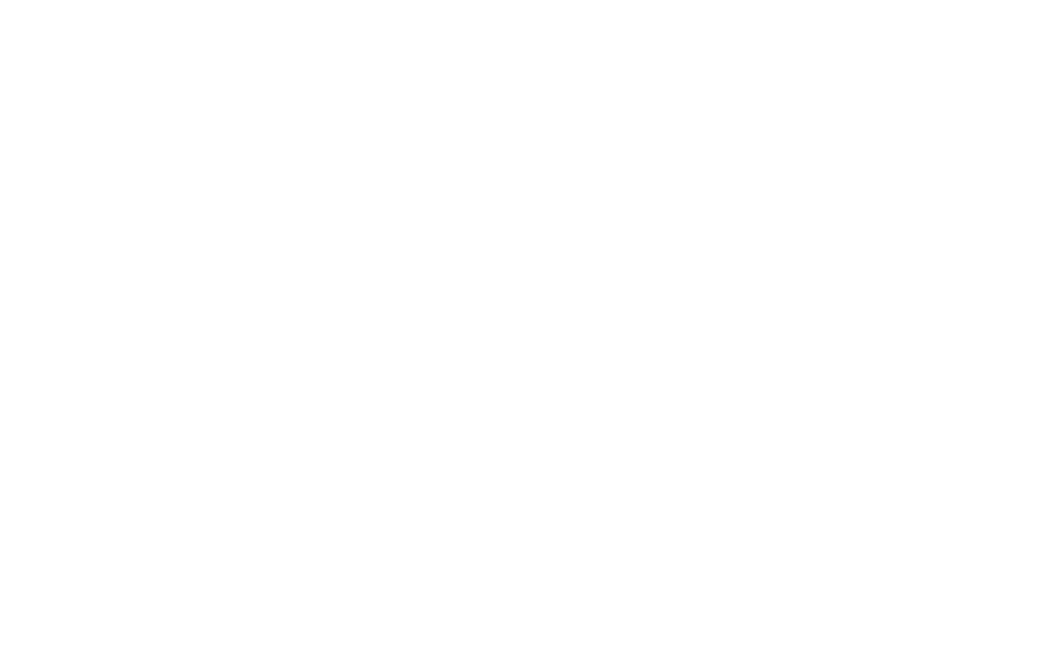 MKS PAMP logo horizontal white