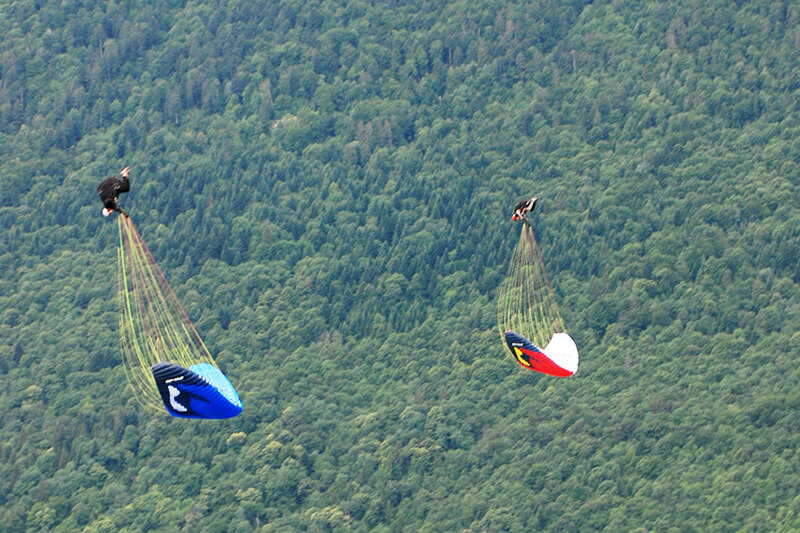 Baptême Parapente Biplace Acrobatique Millau ≈ 25 min