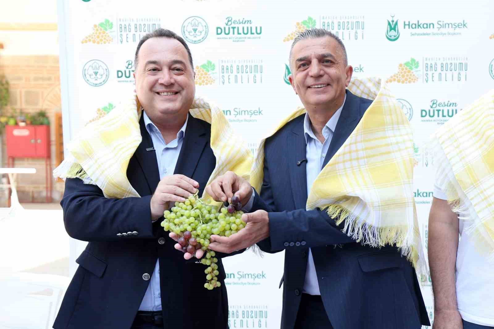 Hakan Şimşek, Bağ Bozumu Şenlikleri