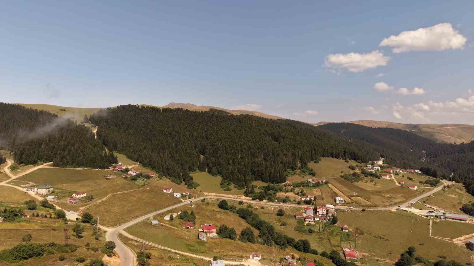 Kümbet Yaylası