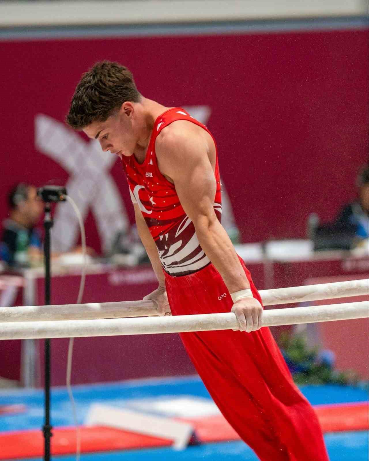 Altan Doğan