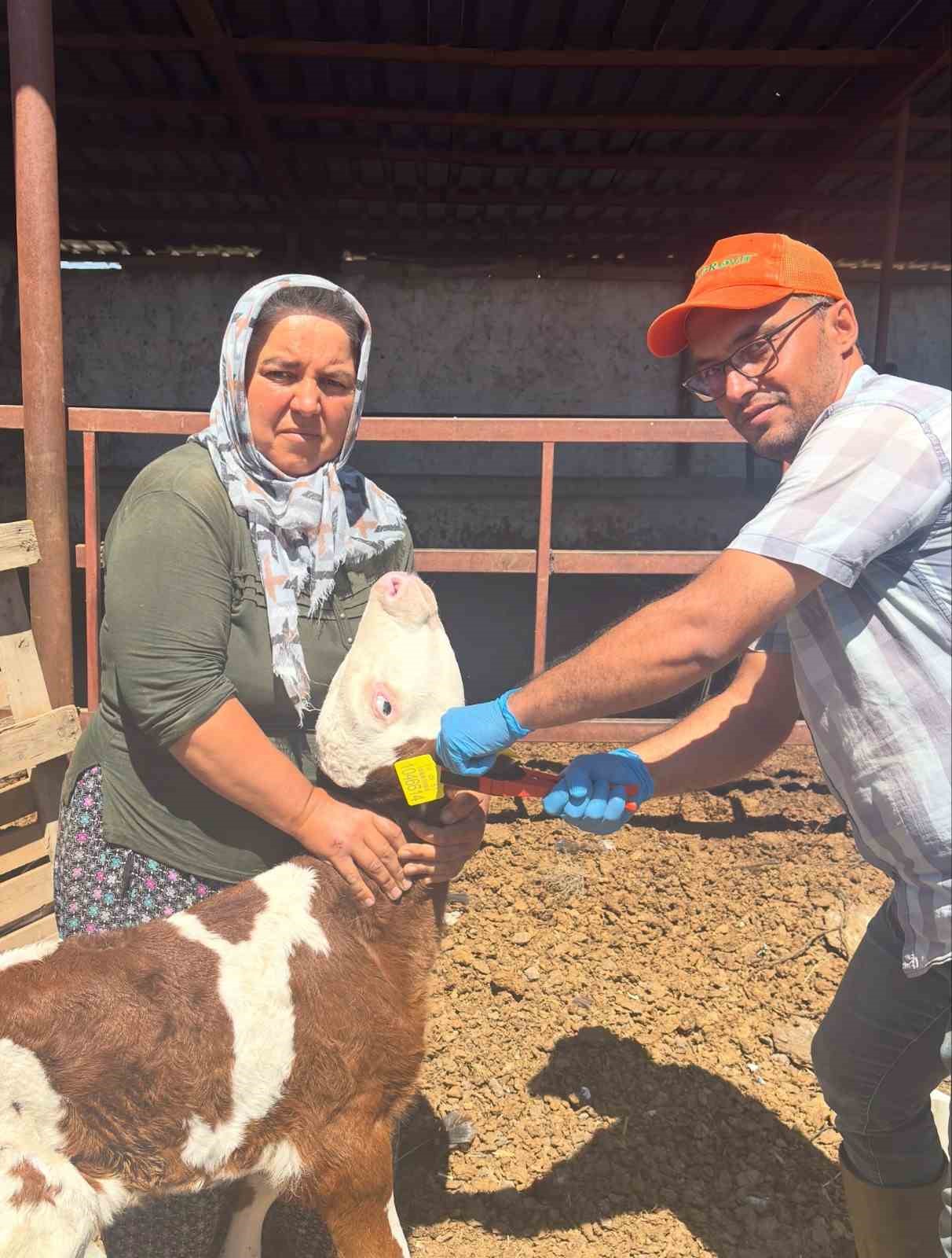 Niğde