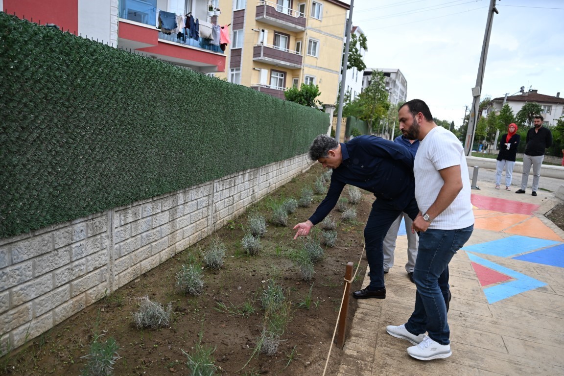 Kartepe