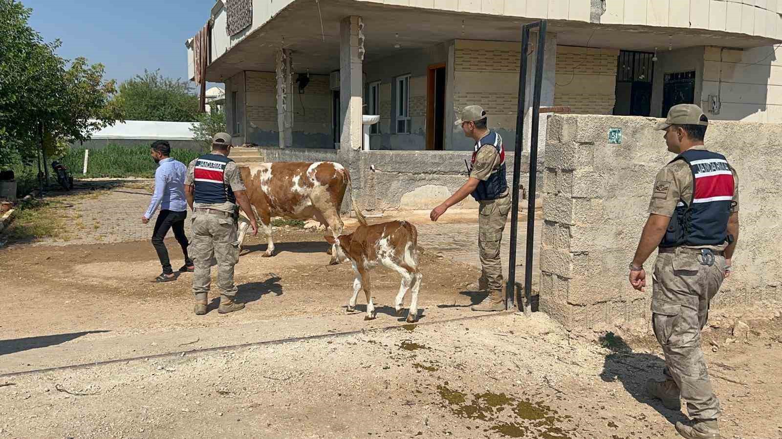 Şanlıurfa