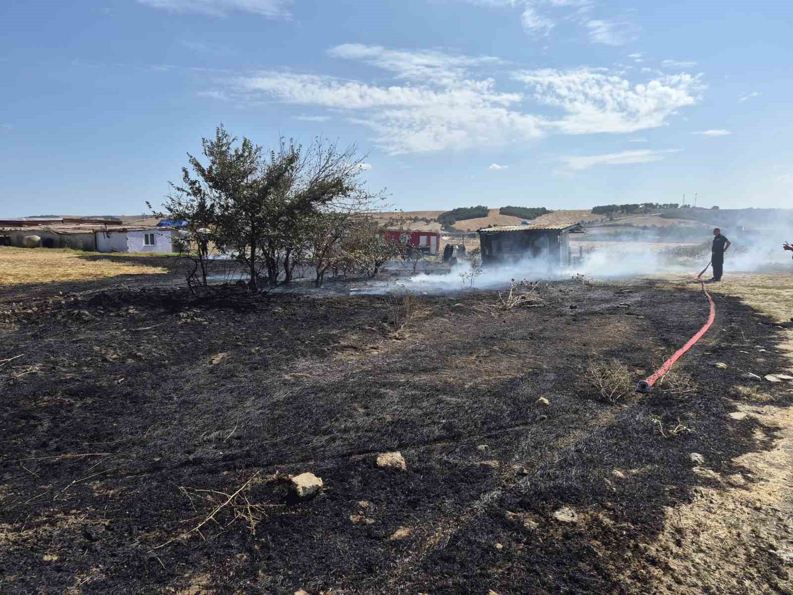 Muratlı kırsalındaki pangın paniği