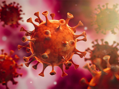 Corona-Forschung FIRMA