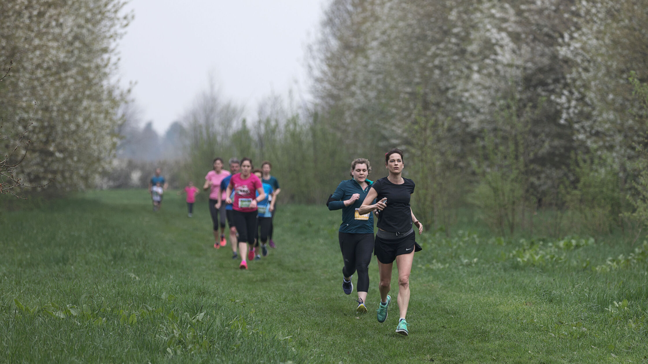 Parklopen: gratis rennen in het groen