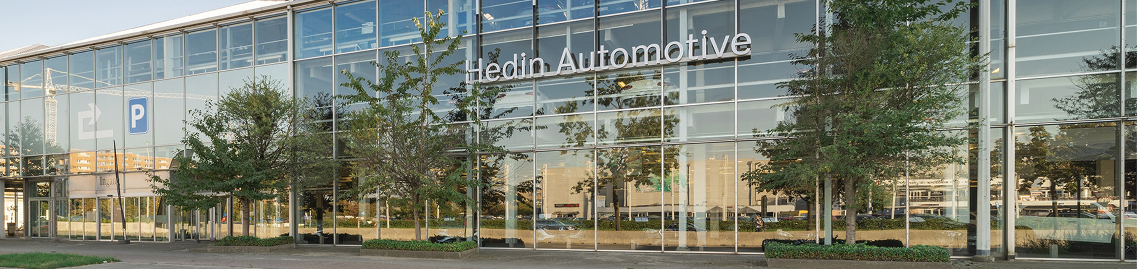 Hongqidealer in Antwerpen Hedin