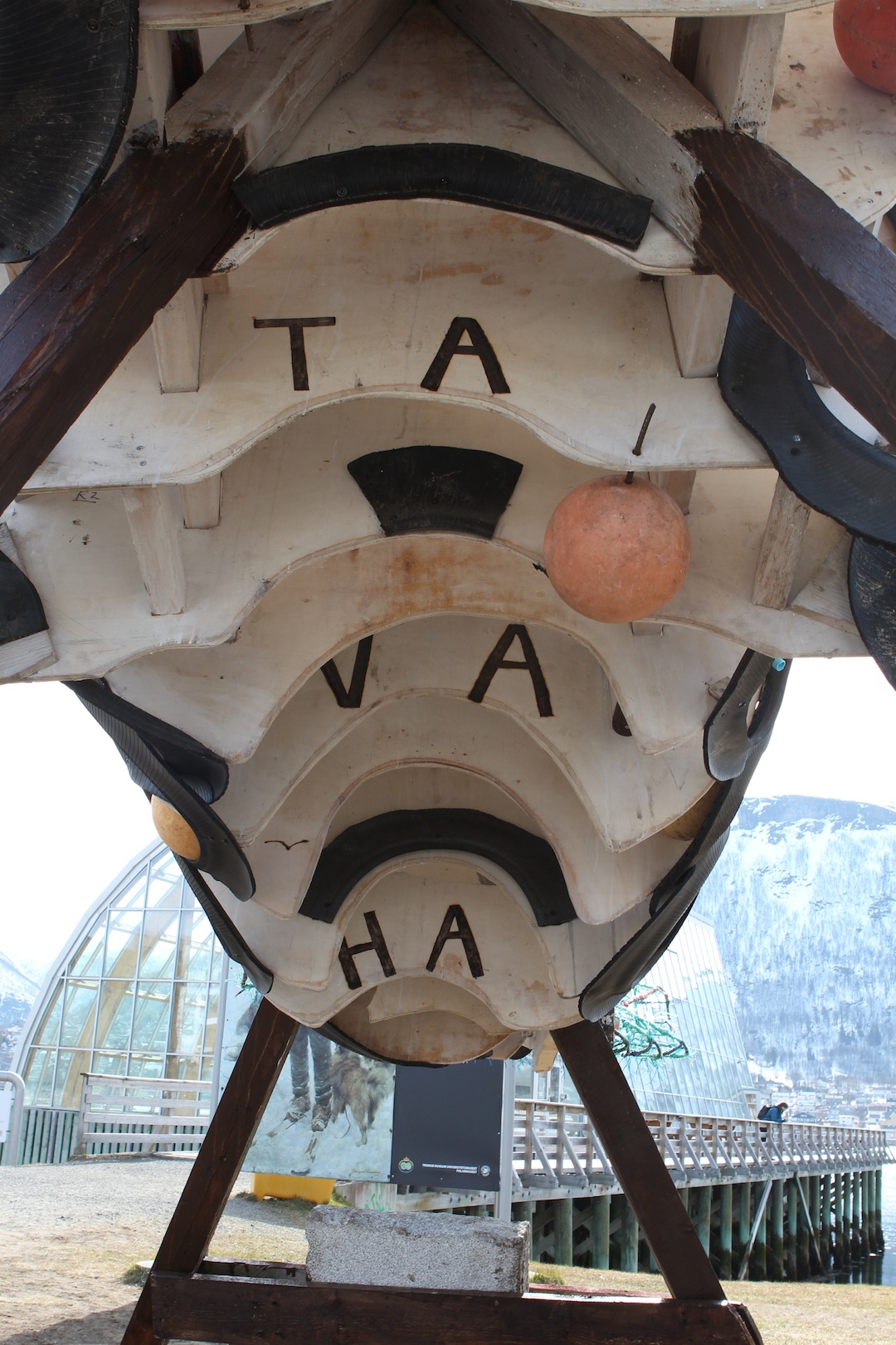 TAVAHA plastic whale underside