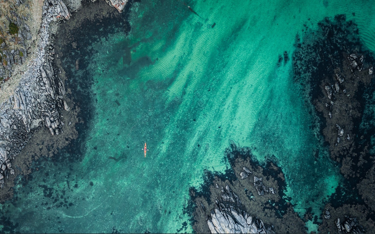 Halfdaykayak1