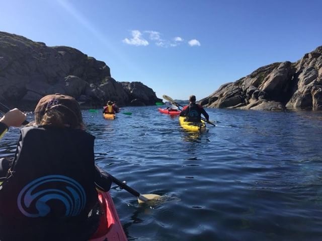 Halfdaykayak2