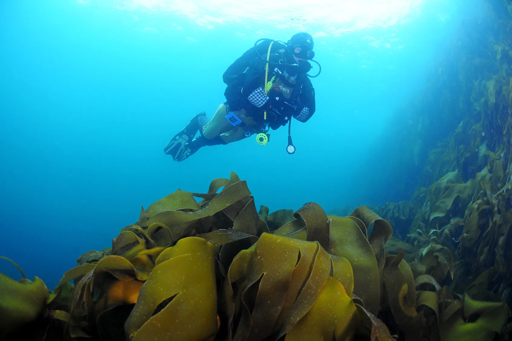 Halfdayscubadiving2